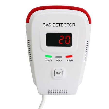 gas detector